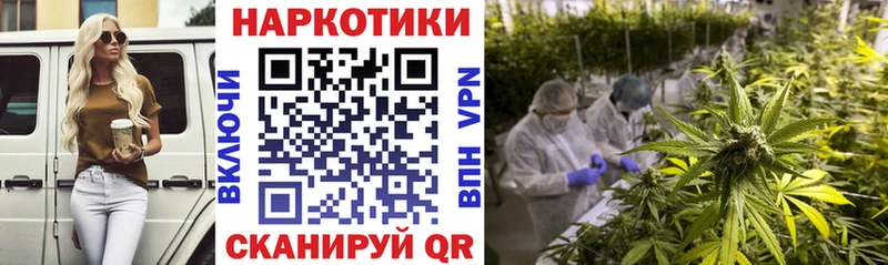 Где можно купить наркотики Прохладный ГАШ СК COCAIN Мефедрон Каннабис