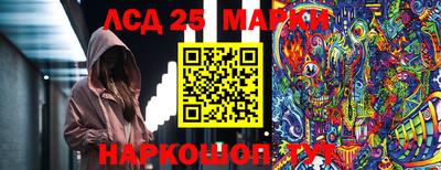 шишки Жуковский