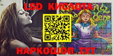 прущие крисы Бийск