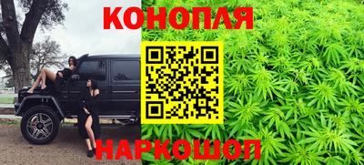 шишки Жуковский