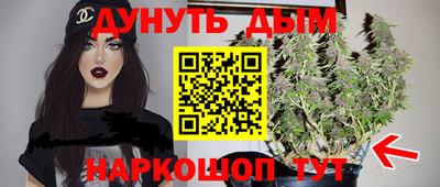 PSILOCYBIN Заводоуковск