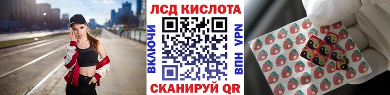 где можно купить   Прохладный  Марки 25I-NBOMe 1500мкг 