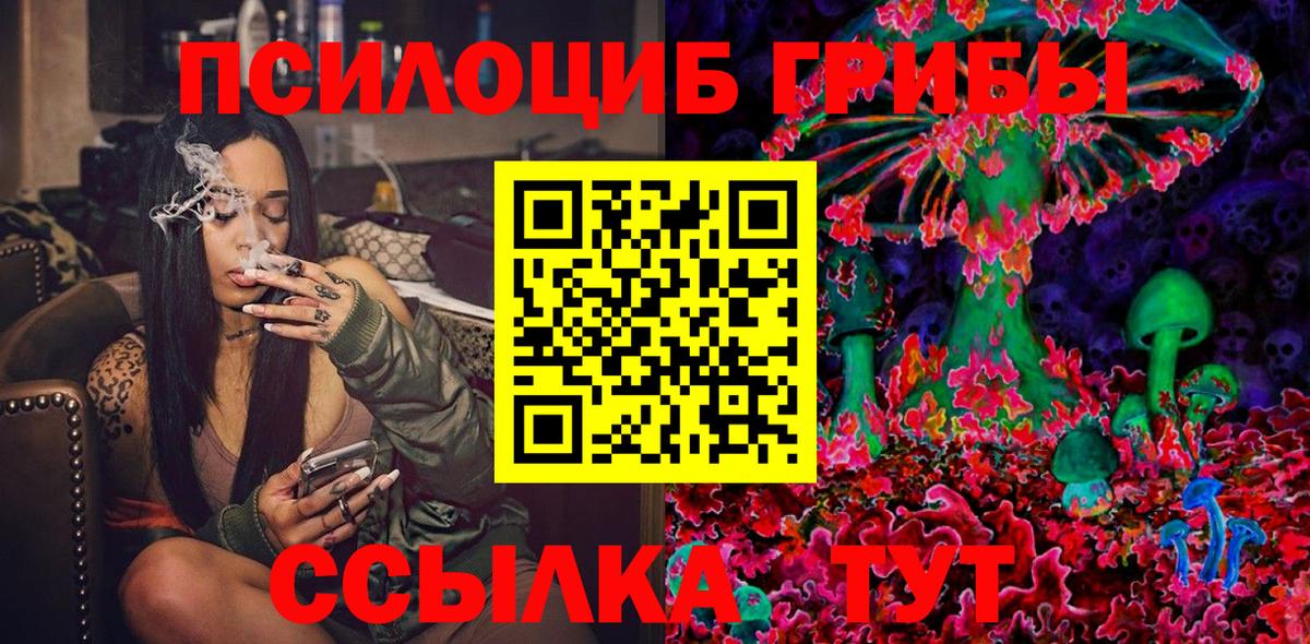 Галлюциногенные грибы прущие грибы Прохладный