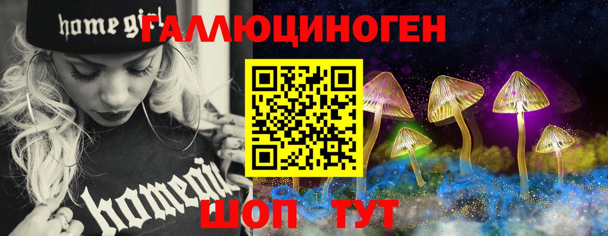 Прохладный  Псилоцибиновые грибы мицелий  Псилоцибиновые грибы ЛСД  закладки  Вход с VPN 
